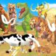 Tiger Bull Fight Giant Tiger Attack Cow Cartoon Buffalo Saved by Woolly Mammoth Elephant Vs T-Rex