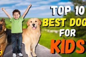 Top 10 Best Dogs for Kids | Best Dog Breeds For Kids in Hindi | Kids Friendly Dogs
