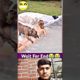 Try Not To Laugh - Funniest Rides _ Fails of the Week _ Funny videos _ #comedy #funny #fails #humor