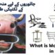 What is mouth gag for cattle ? || Dental Mouth Gags || Surgical Veterinary Mouth Gags