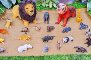 Wild Jungle Animals Stuck in the Muddy Adventure 🐘🦓🐅 Entertainment Learning for Kids