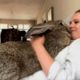 Woman accuses her bunny of acting like a dog