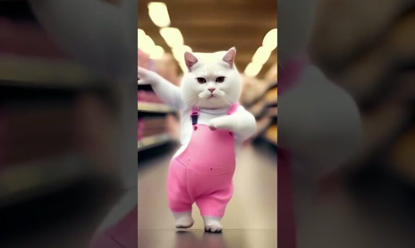 cuit cat litile cat cute puppies #cute#viral #shortfeed #terending #love#bharti #dance #punjabisong