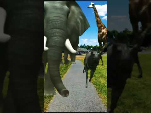 elephant stampede 🐘 / elephant sound effect / animals running / animals Stampede / jumanji / animal