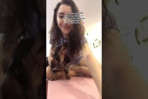 the cutest puppy ever 🥹💗 doing puppy yoga in bangkok 🐶🇹🇭