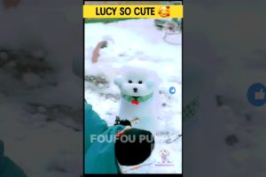 लूसी सबसे सुंदर 🥰 Making a statue of cutest puppy | #snowman #snowpainting #cutepuppy