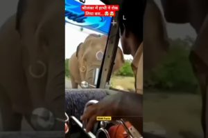 श्रीलंका में हाथी ने रोक लिया बस...🤯🤯#Shorts #ytshort #youtubeshorts #Animalencounter#RNMFacts#viral