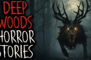 1 Hour Of Scary DEEP WOODS Horror Stories For A Rainy Night