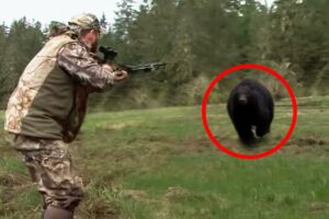 12 Times Hunters Messed With The Wrong Animals (Part 2)