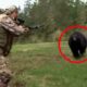 12 Times Hunters Messed With The Wrong Animals (Part 2)