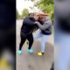 Hood Girl Street Fight