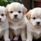 Animal Sounds : Dog Video - Dog Sounds - Dog Lover - Cutest Puppies - Cute Babies And Puppies