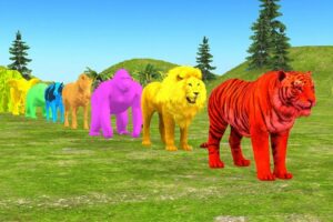 Long Slide Game With Elephant Gorilla Buffalo Hippopotamus Tiger - 3d Animal Game - Funny 3d Animals