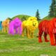 Long Slide Game With Elephant Gorilla Buffalo Hippopotamus Tiger - 3d Animal Game - Funny 3d Animals