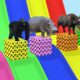 Long Slide Game With Elephant Gorilla Buffalo Hippopotamus Tiger - 3d Animal Game - Funny 3d Animals