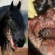 25 Deadliest Animal Mouths That Will Give You Chills!