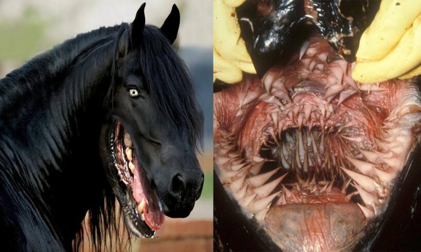 25 Deadliest Animal Mouths That Will Give You Chills!