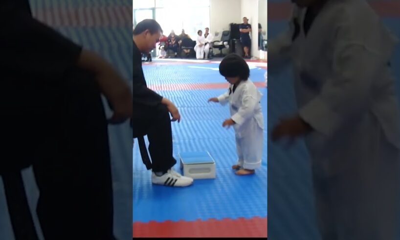 3 Year Old Tries to Break Board in Taekwondo #shorts