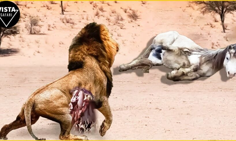 30 Craziest Animal Fights With Wrong Animals And What Happens Next ? | Animal Fights