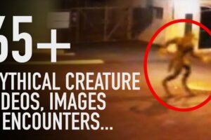 65+ Mythical Creature Encounters, Videos & Photographs | HUGE Mythological Creatures Compilation