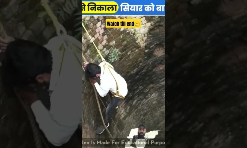 70 fit Kuan se Khunkhar Janwar ko kaise nikala😲💪🔥| Dangerous Animal Rescue | #shorts #viral