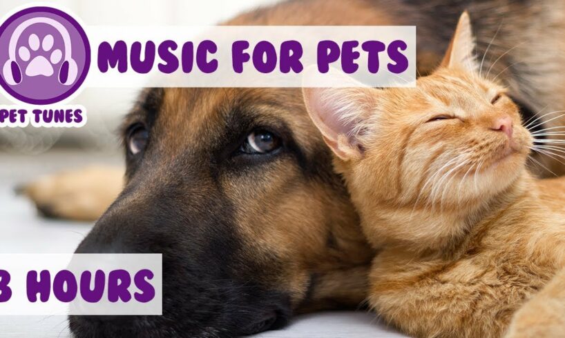 8 HOURS OF PET MUSIC! Relaxing Music to Soothe and Comfort Pets and Help Calm and Reduce Anxiety! 🐹