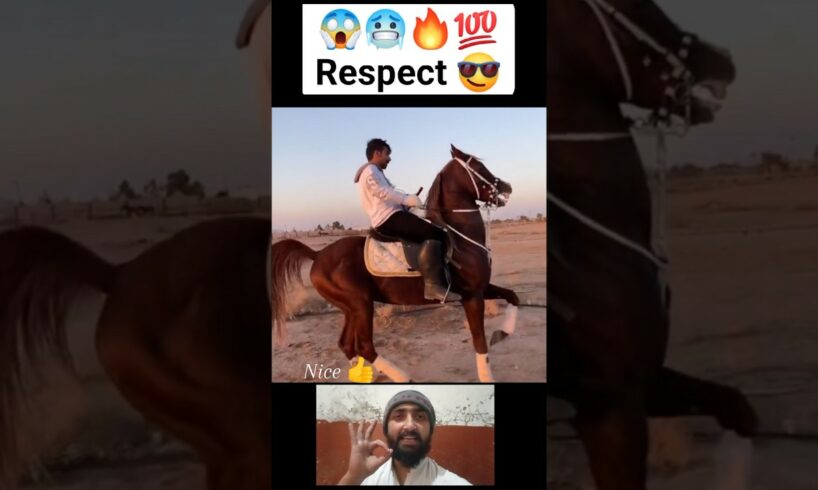 😍 Amazing Horse 😘❤️🔥 ||respect 💯|| #shorts #respect