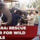 Anant Ambani Launched Wildlife Rescue Centre Vantara: A Haven for Rescued Wild Animals | India Today