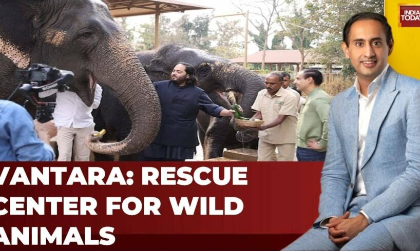 Anant Ambani Launched Wildlife Rescue Centre Vantara: A Haven for Rescued Wild Animals | India Today