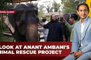 Anant Ambani's Animal Rescue Mission Unveiled on Jab We Met With Rahul Kanwal | India Today News