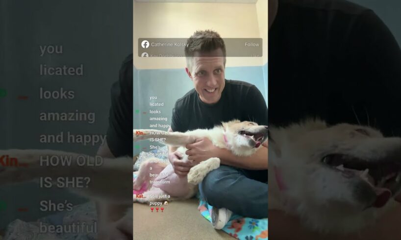 BIG Pupdate on Katie (Live 🔴)