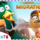 Best Of Migration 🦆🦜 | Migration | HD | Compilation | Movie Moments | Mini Moments