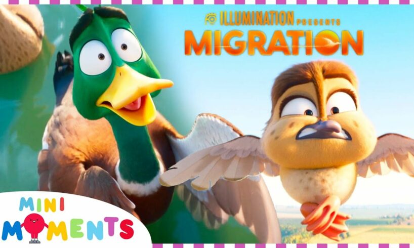 Best Of Migration 🦆🦜 | Migration | HD | Compilation | Movie Moments | Mini Moments