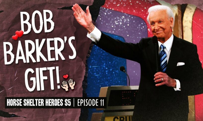 Bob Barker's Gift! - Horse Shelter Heroes S5E11