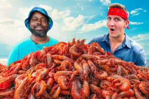 Catching 10,000 Shrimp for Shrimp & Grits!!