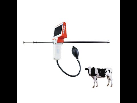 Cattle Visible artificial insemination gun A.I. equipment for cow vaginascope