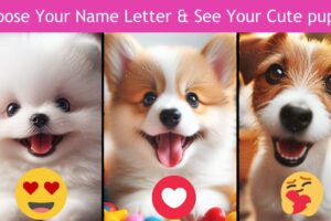 Choose Your Name Letter & See Your Cute Puppies | Cutest puppies🐶💖