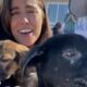 Couple Saves 200 Animals And Travels The World To Save More | The Dodo Running Back To The Rescue