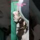 😍 😍 😍 Cutest puppies in the world ❤️ 🥰.  #dogs #viral #4k