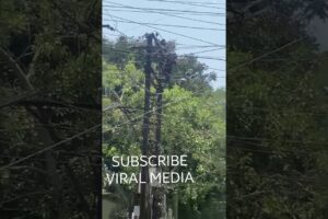 DANGEROUS. Electrocution💀☠ The extraordinary and incredible electrical accidents. Danger