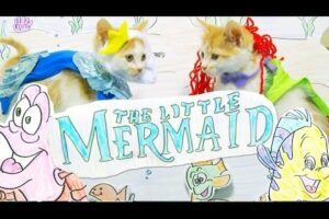 Disney's The Little Mermaid (Cute Kitten Version)