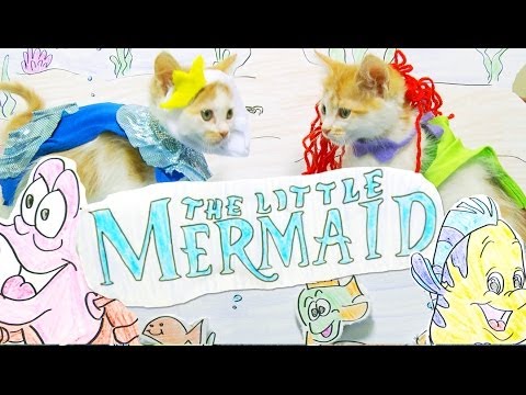 Disney's The Little Mermaid (Cute Kitten Version)