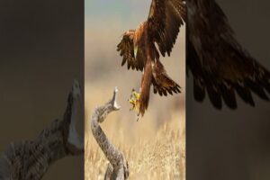 Eagle vs Cobra#shorts