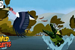 Every Creature Rescue Part 1 | Protecting The Earth's Wildlife | Wild Kratts