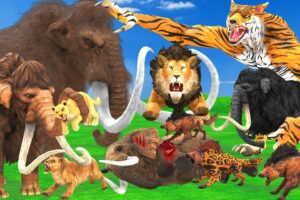 Giant Lion Fight Tiger Wolf Vs Mammoth Vs Hyenas Attack Lion Cub Elephant Saved By Woolly Mammoth