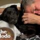 Guy Finds A Dog On The Side Of The Highway | The Dodo