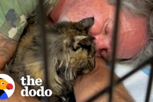 Guy Finds A Stray Cat Living At Starbucks | The Dodo