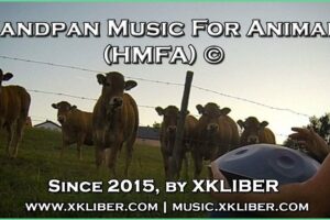 🐮🎶❤️ - HMFA N.01 - COWS LOVE HANDPAN MUSIC (Handpan Music for Animals number 01) - xkliber