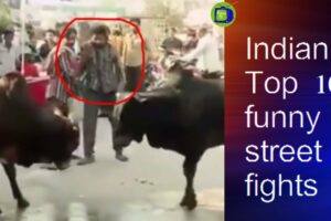 Indian Top 10 funny street fights