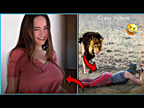 Instant Regret | Fails Compilation | Fails of the Week | Funny Fails - Funny Clips